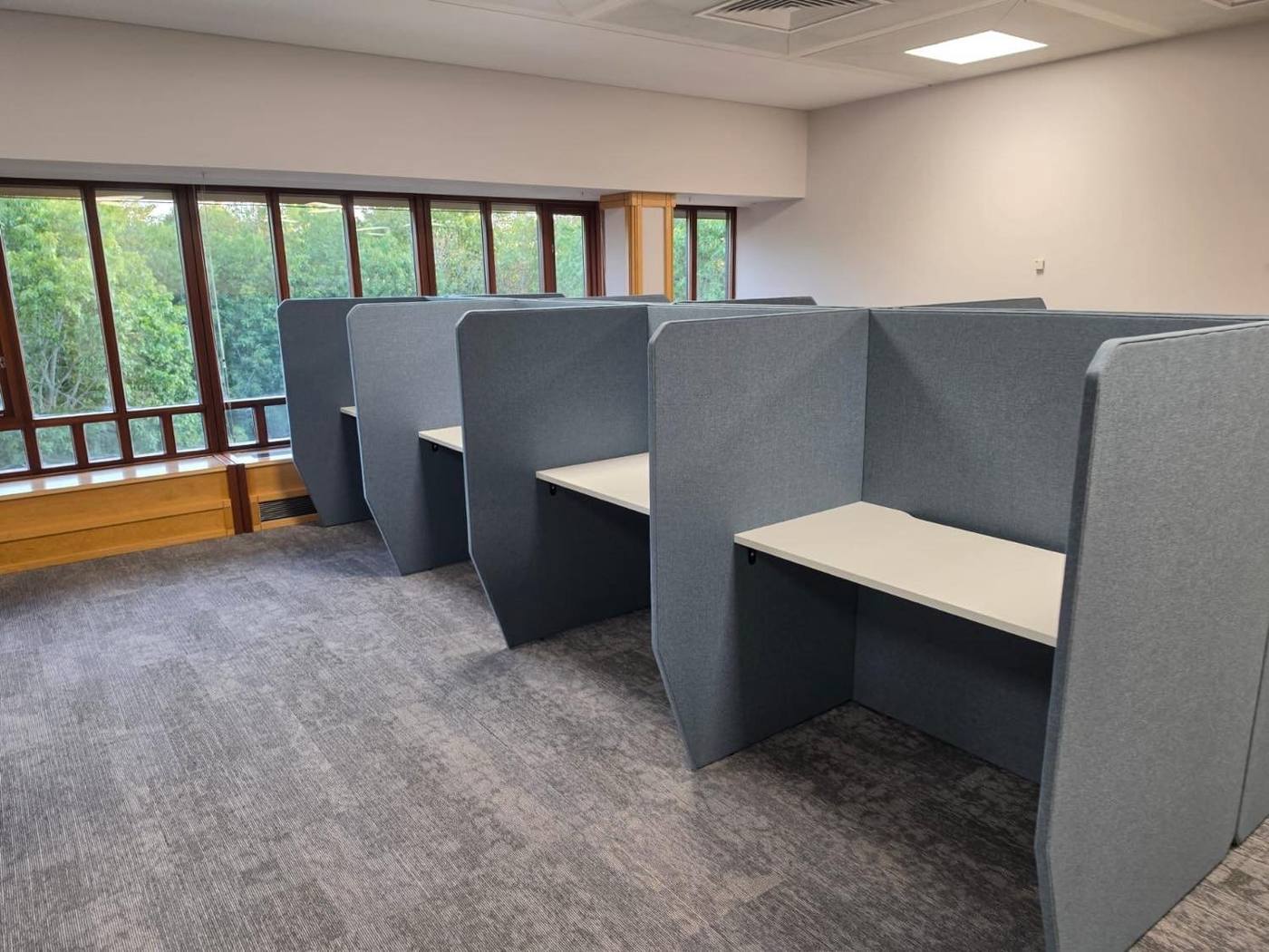 Rows of study booths